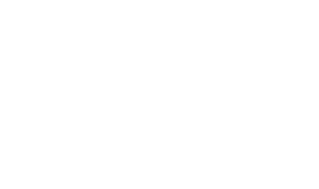 ZVT logo